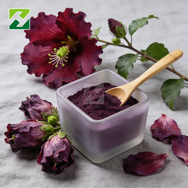 Hibiscus Extract